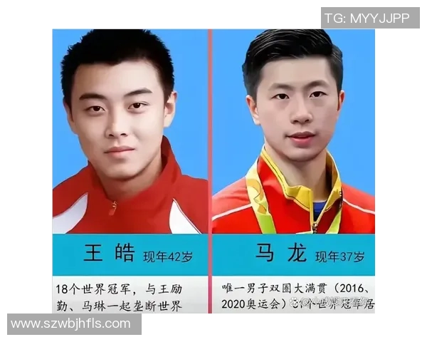 上海乒乓球队在全国速度排行榜中荣获第八名的辉煌成就